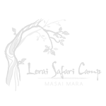 lerai safari camp